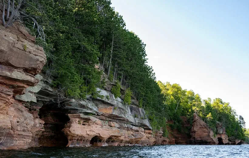 Apostle Islands Kayak and Create Series: Watercolor Painting with Linnaea Borealis