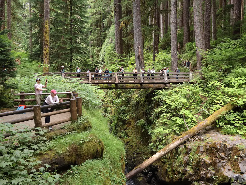 Olympic National Park
