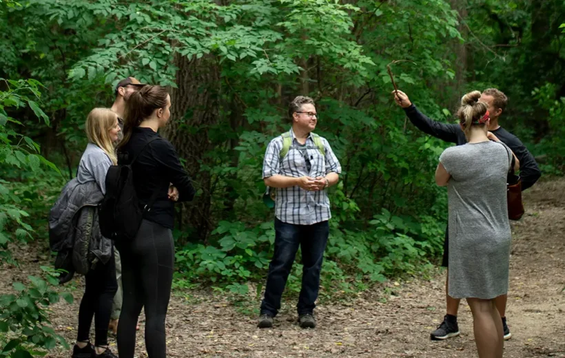 Apostle Islands Forest Bathing Retreat