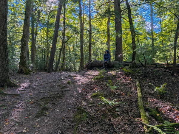 Backpacker sitting on hill in Porcupine Mountains